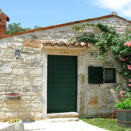 Bassi Bašići